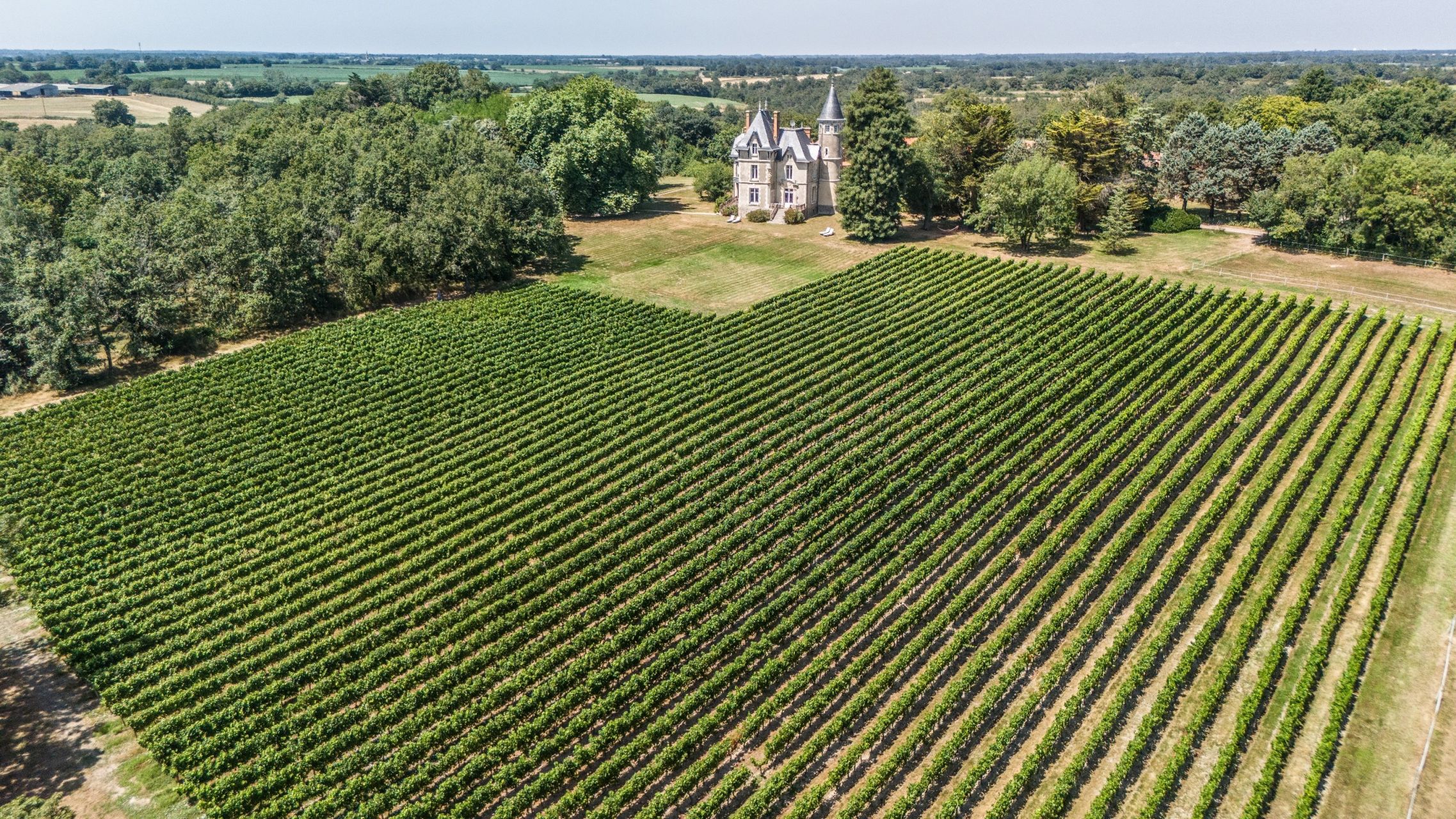 château 12 Pièces en vente sur MAREUIL SUR LAY DISSAIS (85320)