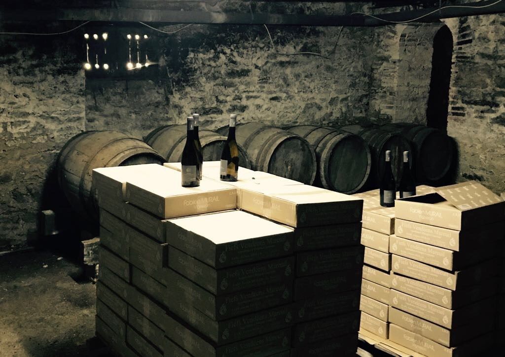 château 12 Pièces en vente sur MAREUIL SUR LAY DISSAIS (85320)