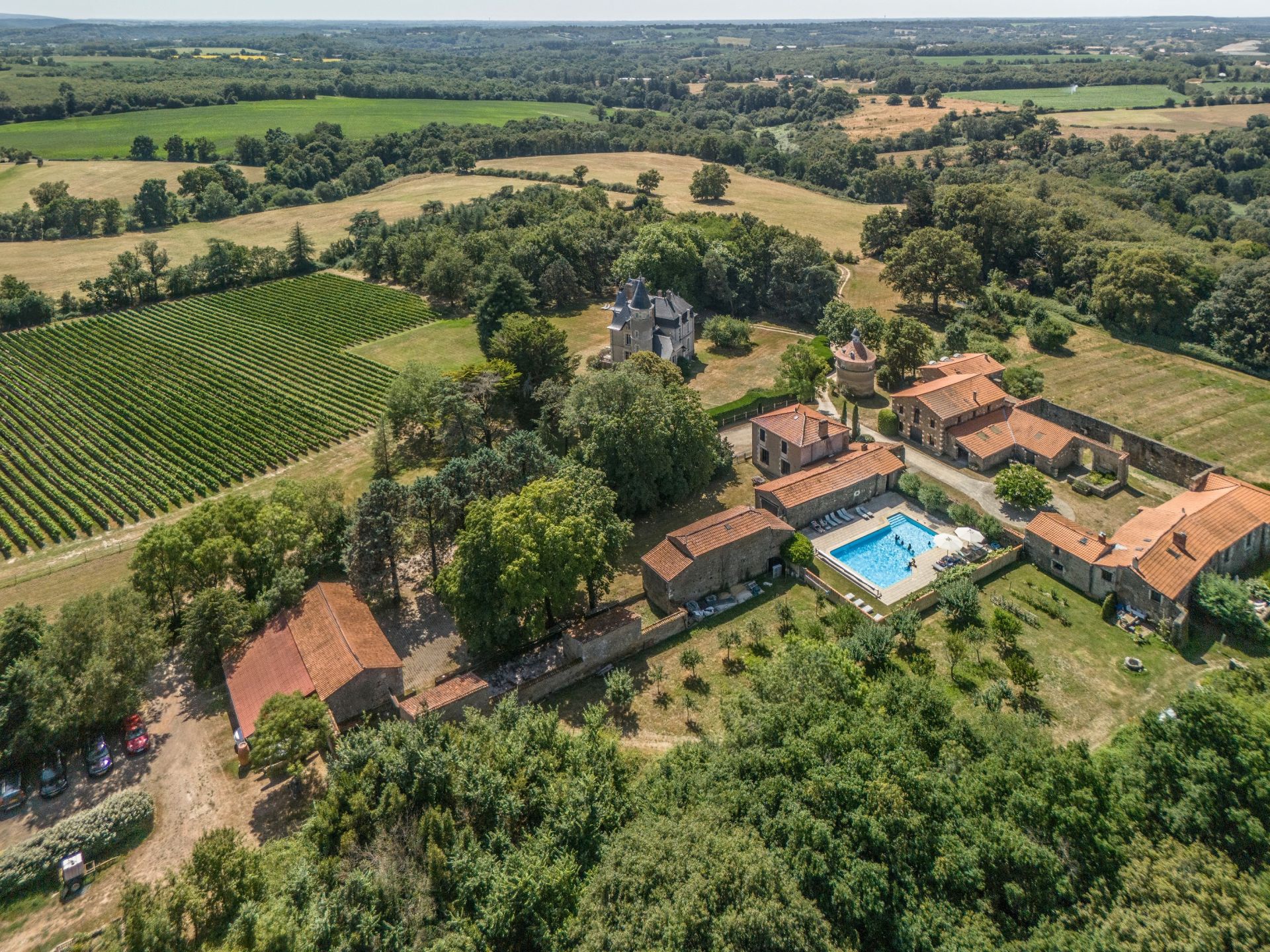 château 12 Pièces en vente sur MAREUIL SUR LAY DISSAIS (85320)