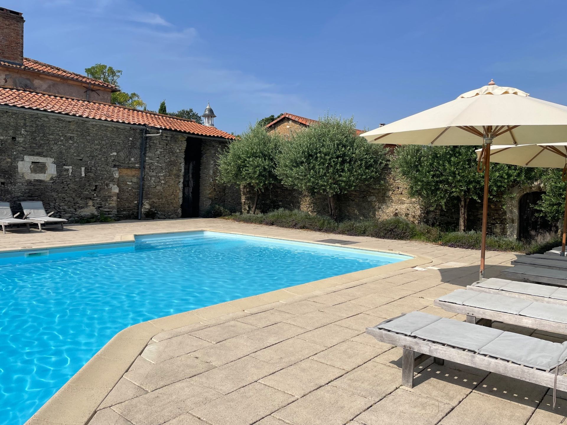 château 12 Pièces en vente sur MAREUIL SUR LAY DISSAIS (85320)