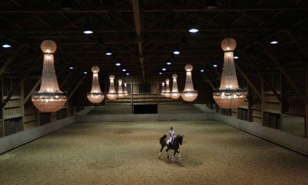 Vente Propriété équestre Nantes 12 Pièces 1000 m²