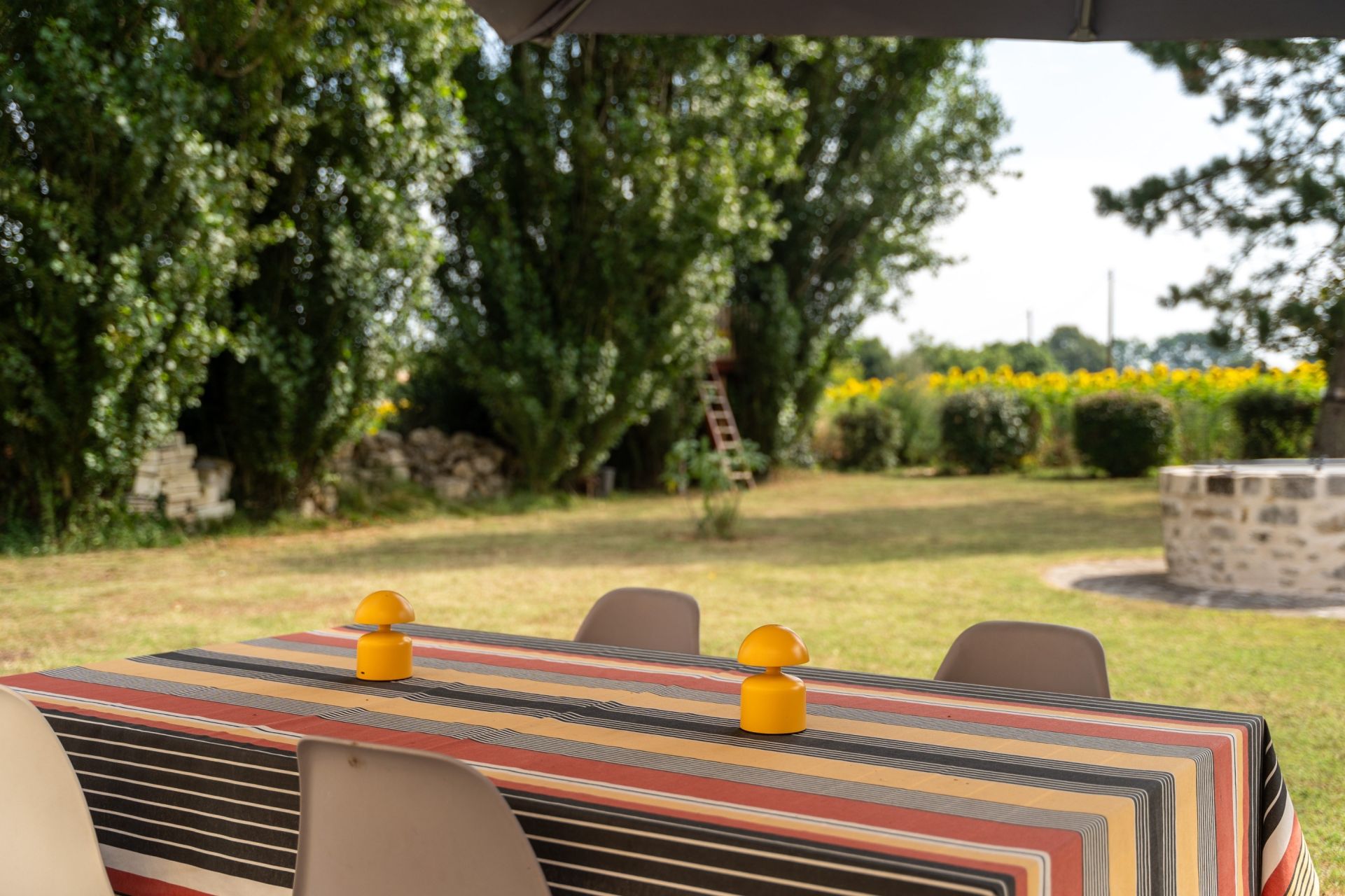 luxury property 12 Rooms for sale on LA GRIPPERIE ST SYMPHORIEN (17620)