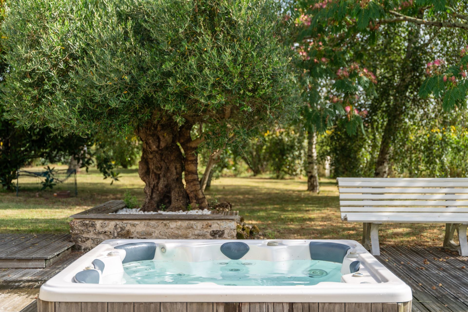 luxury property 12 Rooms for sale on LA GRIPPERIE ST SYMPHORIEN (17620)