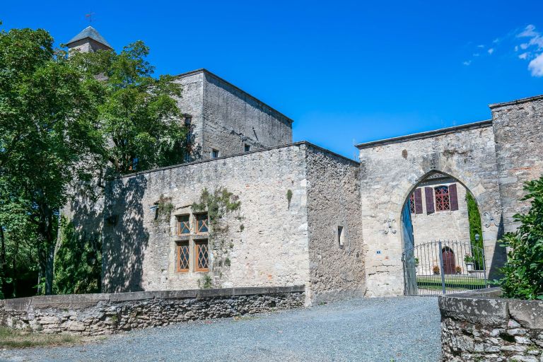 château 17 Pièces en vente sur LAUTREC (81440)