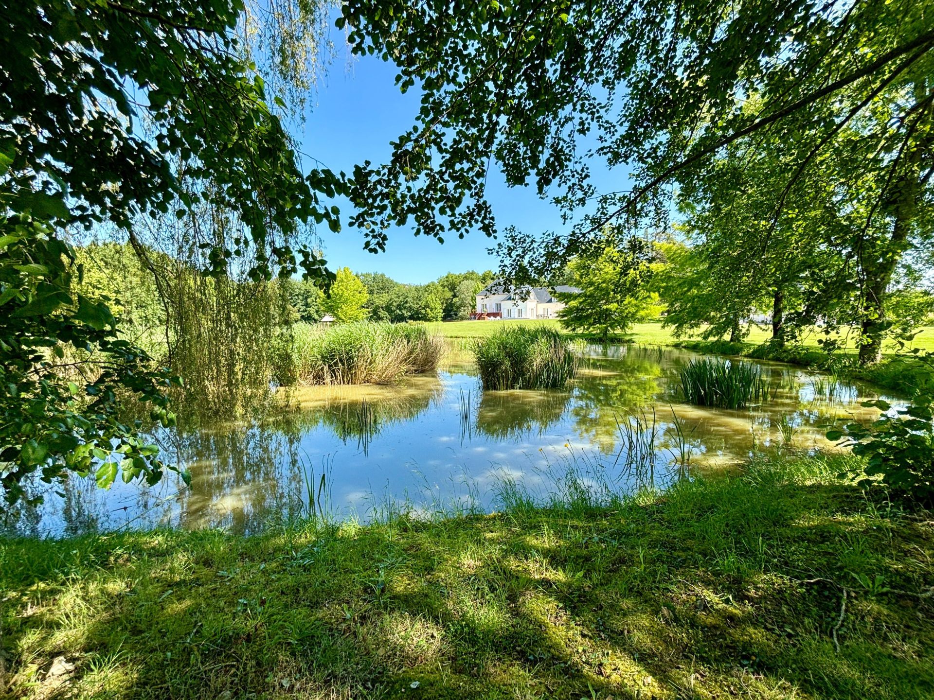 maison de luxe 16 Pièces en vente sur ST CYRAN DU JAMBOT (36700)