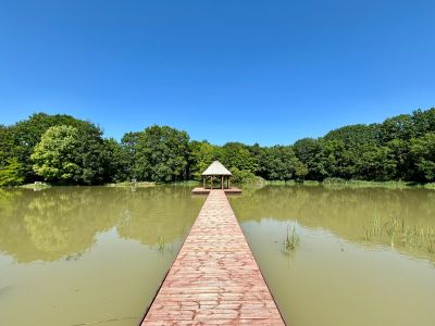 Sale Luxury house Saint-Cyran-du-Jambot 16 Rooms 640 m²