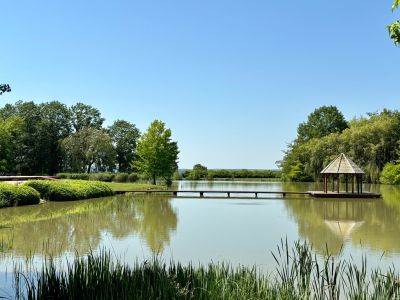 Vente Maison de luxe Saint-Cyran-du-Jambot 16&nbsp;Pièces 640&nbsp;m²