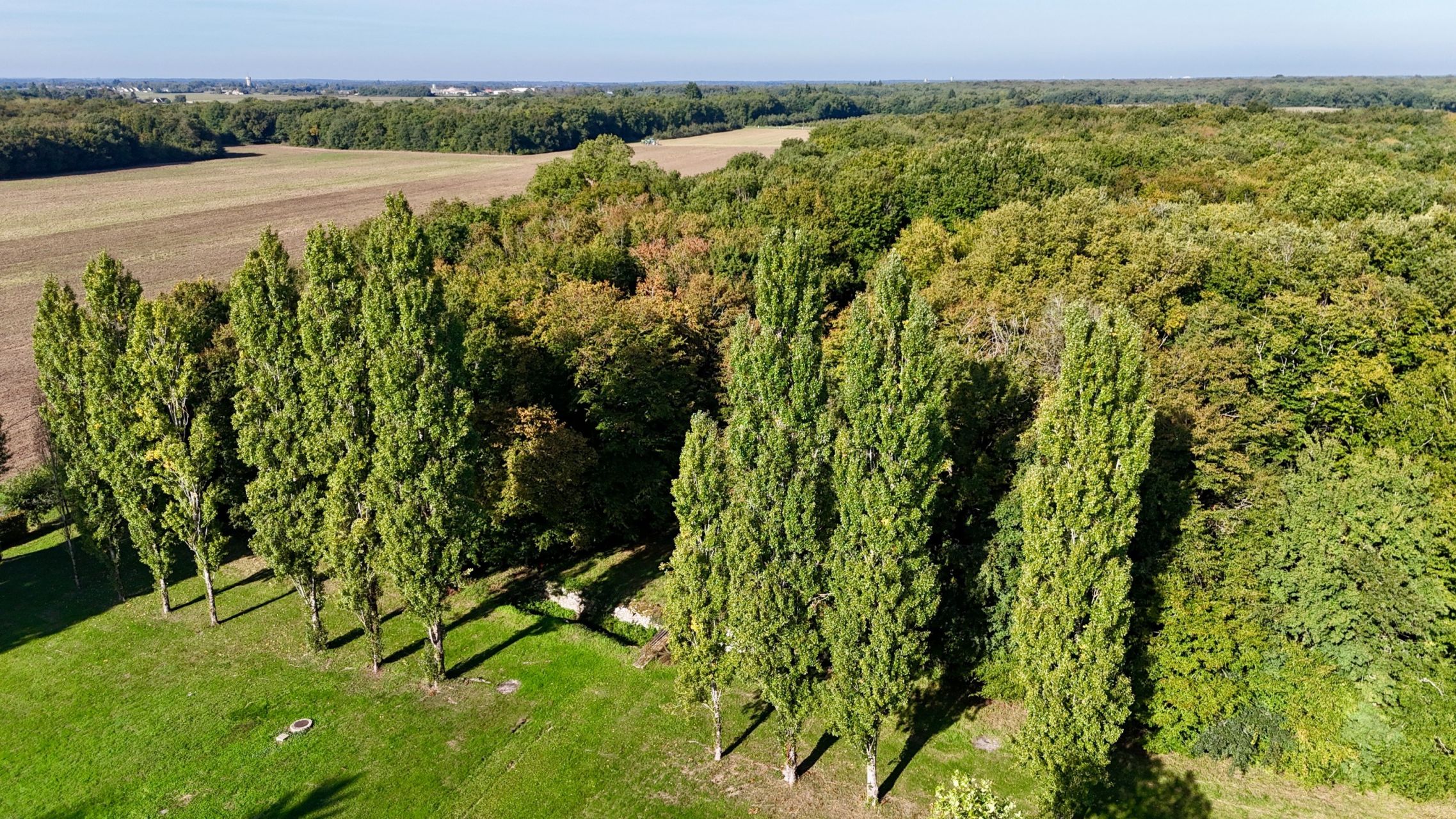 manor house 28 Rooms for sale on TRUYES (37320)