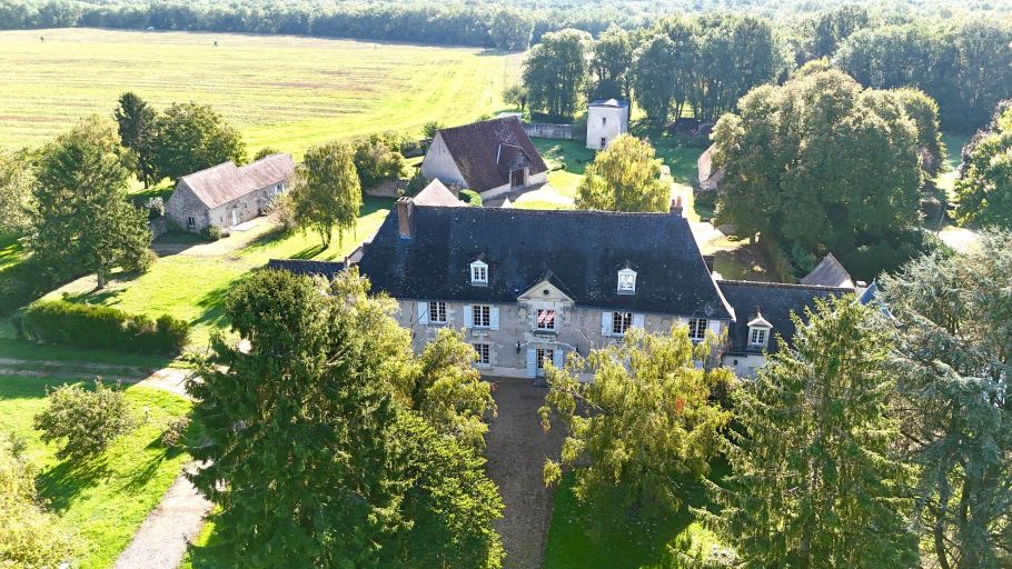 manor house 28 Rooms for sale on TRUYES (37320)