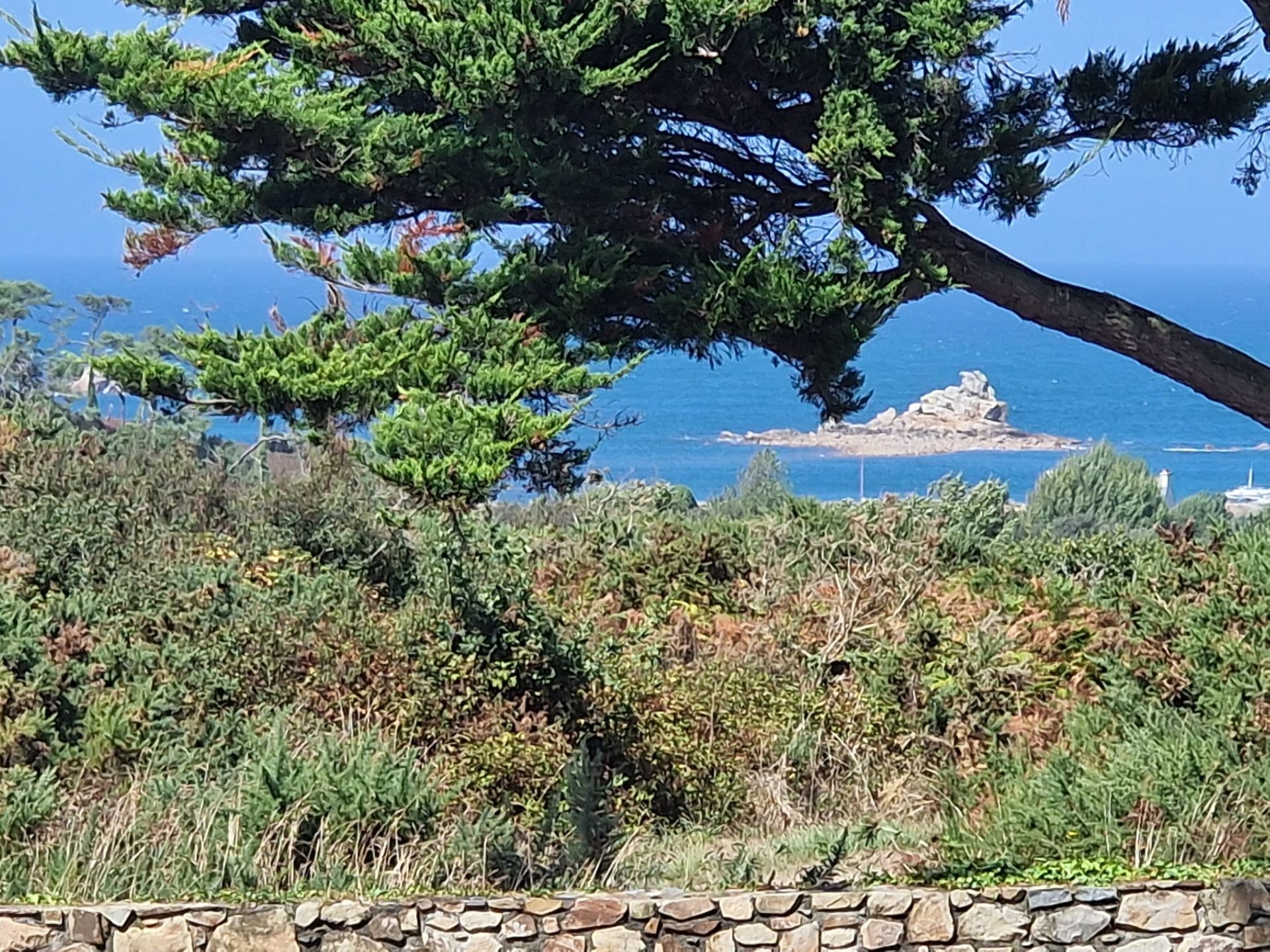 luxury house 15 Rooms for sale on PLOUGRESCANT (22820)