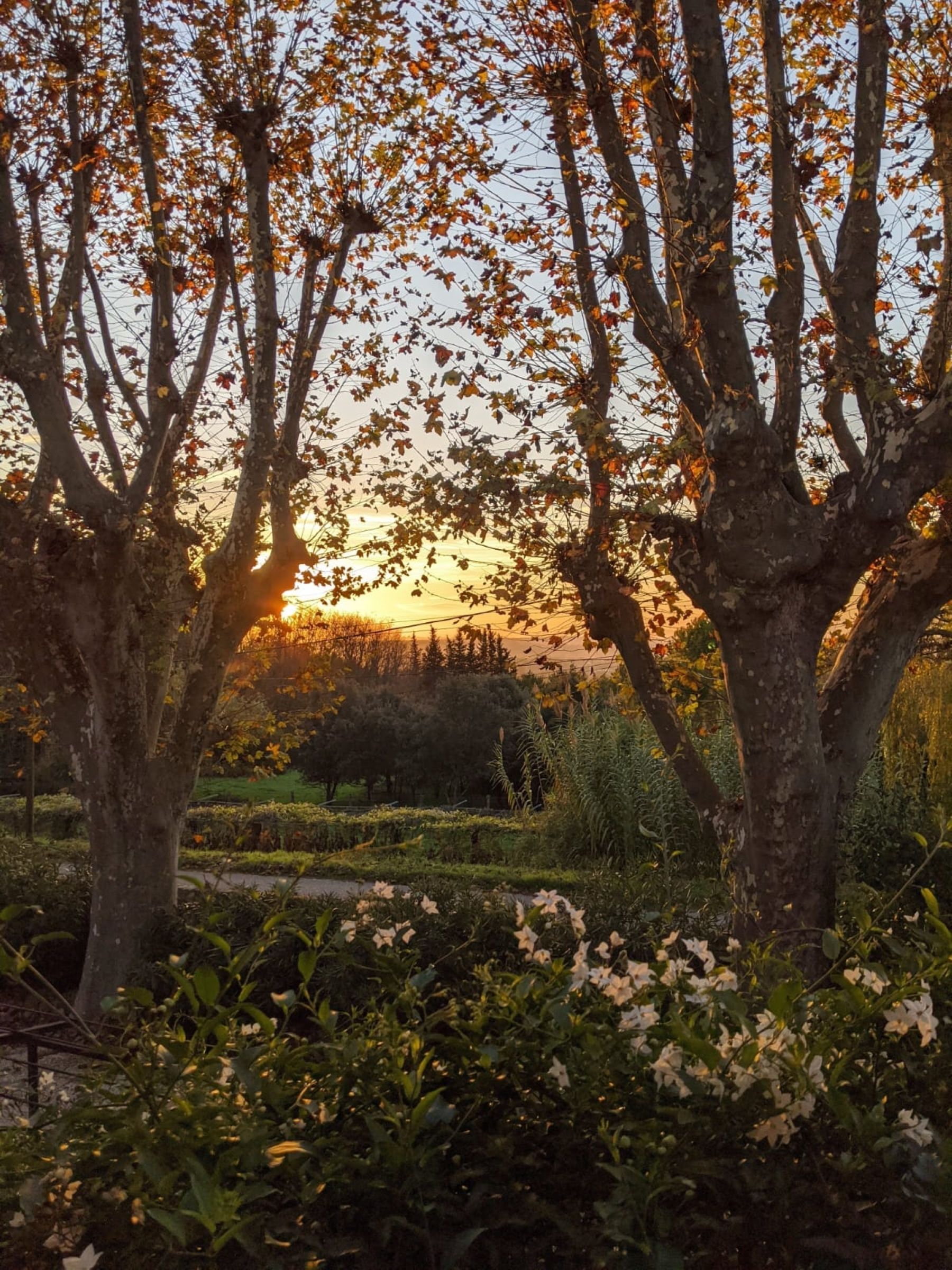 propriété de luxe 20 Pièces en vente sur UZES (30700)