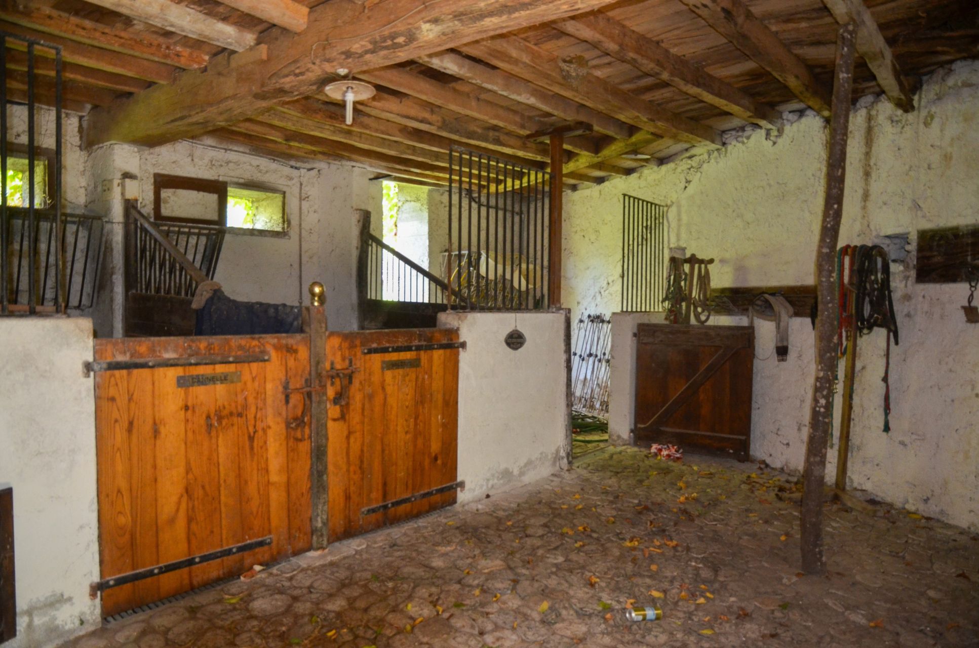 château 18 Pièces en vente sur SALIES DU SALAT (31260)