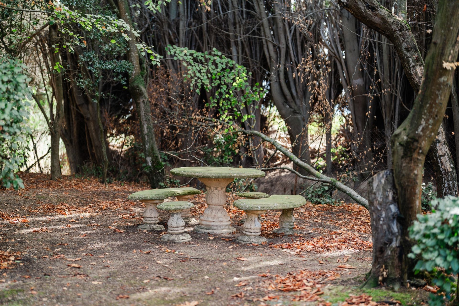 maison de luxe 18 Pièces en vente sur HOMPS (11200)