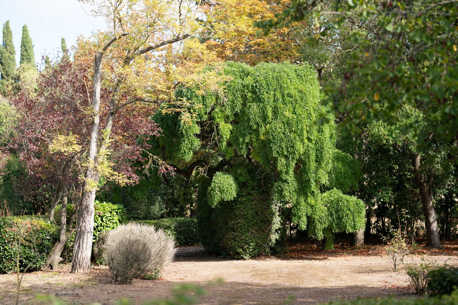 maison de luxe 18 Pièces en vente sur HOMPS (11200)