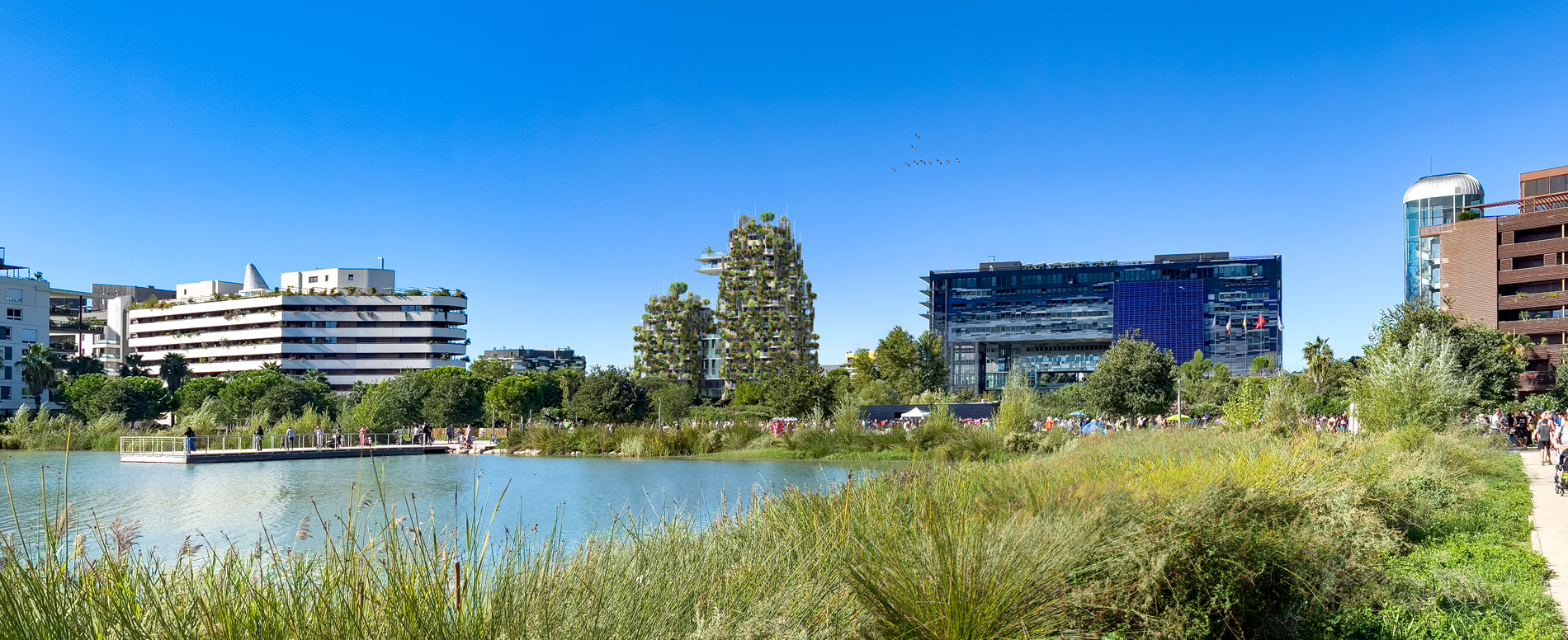 appartement de luxe 5 Pièces en vente sur MONTPELLIER (34000)