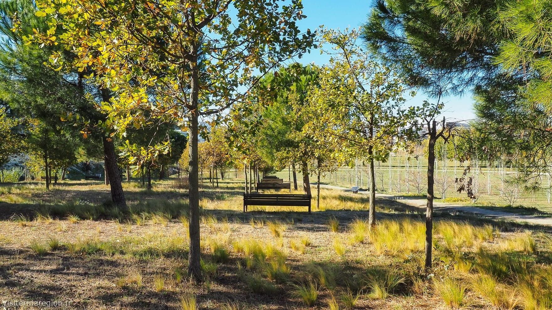 luxury apartment 4 Rooms for sale on MONTPELLIER (34000)