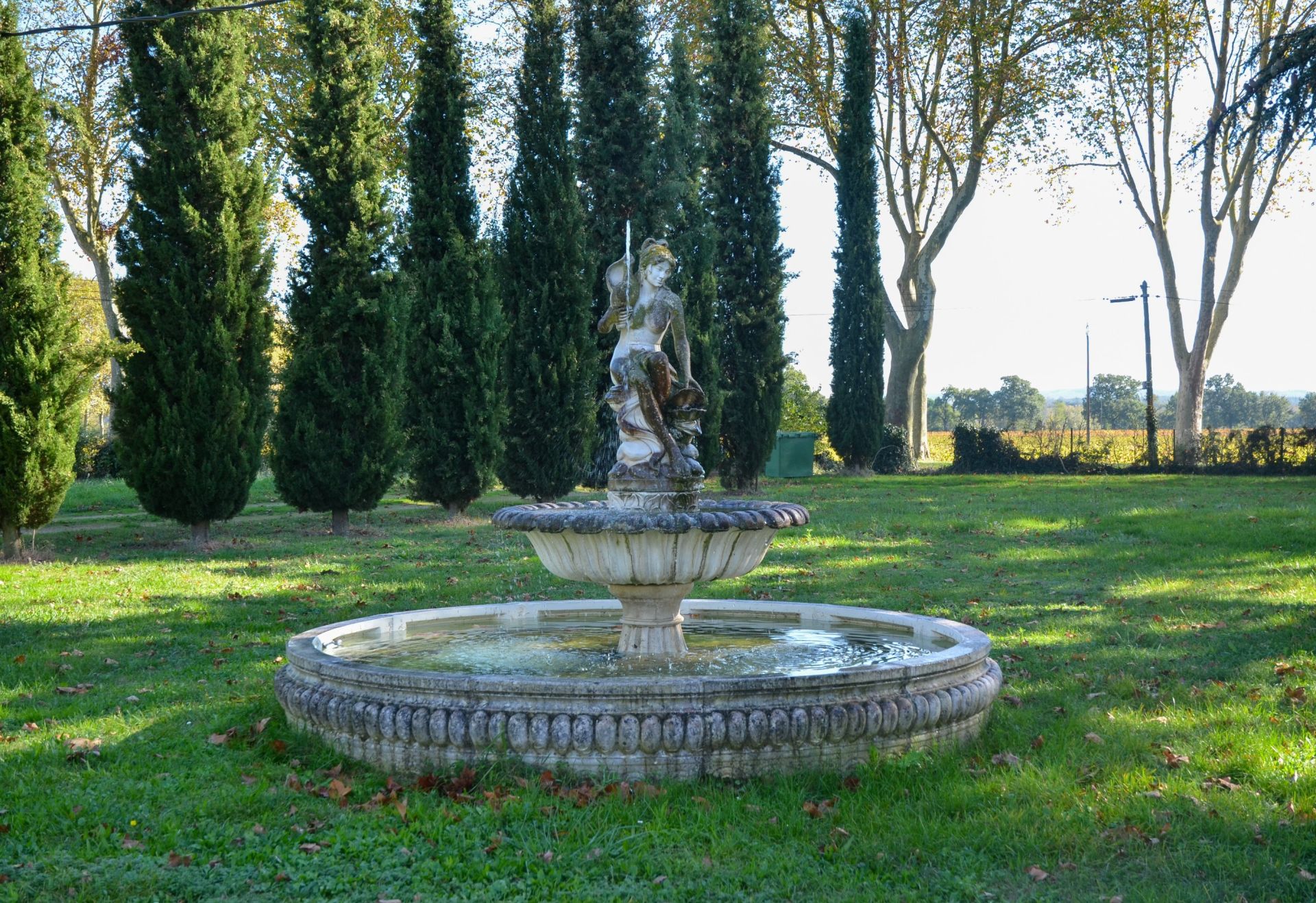 manoir 23 Pièces en vente sur RABASTENS (81800)