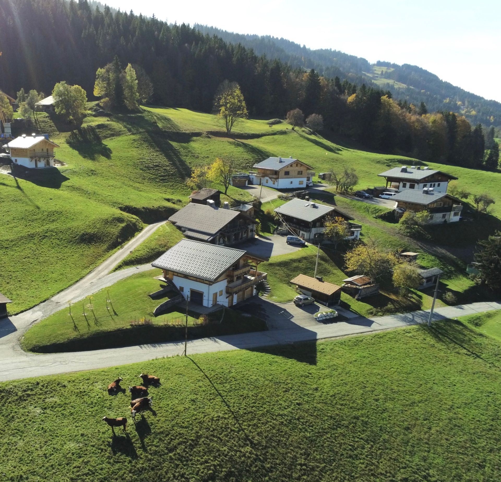 luxury chalet 6 Rooms for sale on MEGEVE (74120)