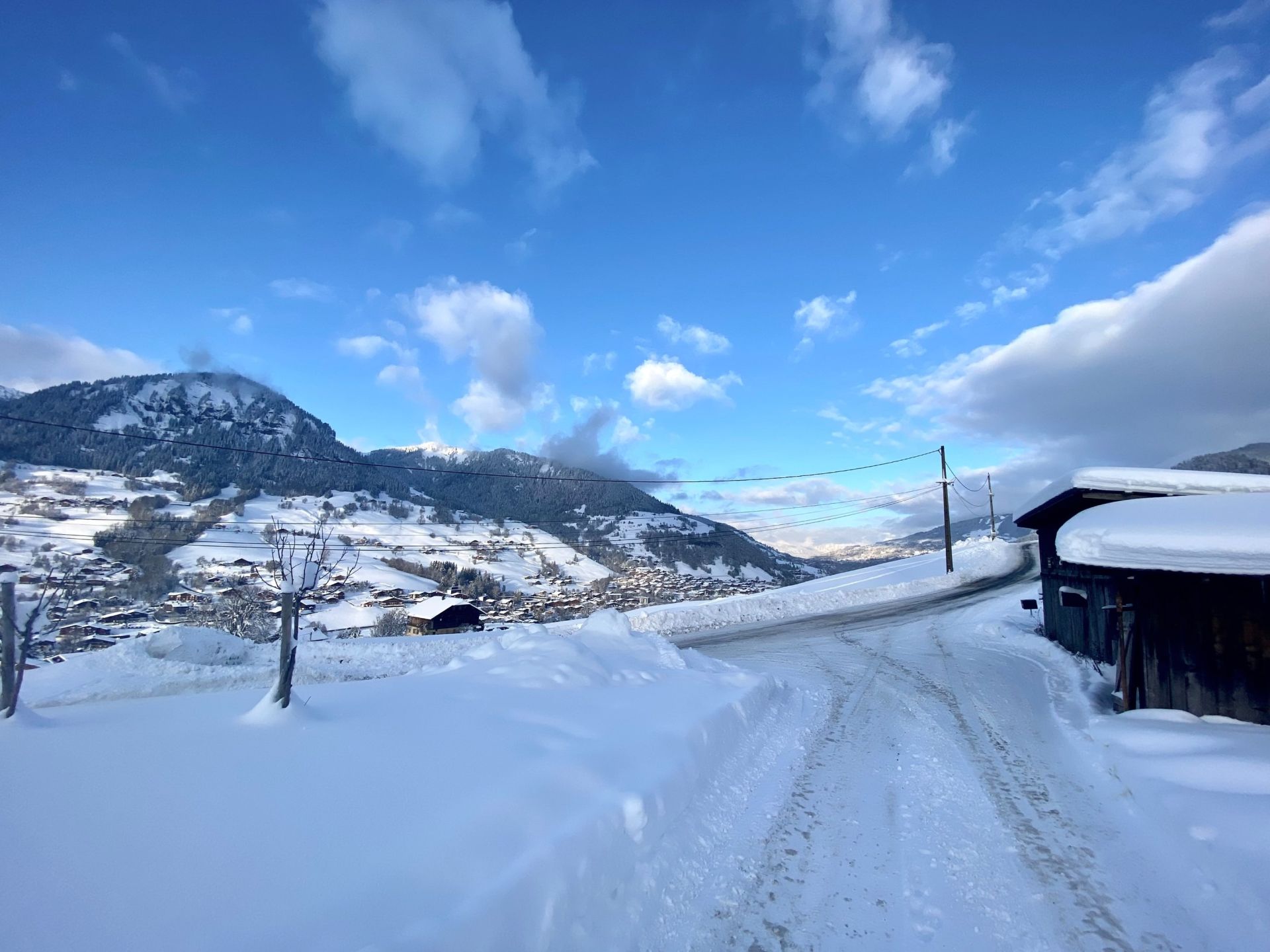 luxury chalet 6 Rooms for sale on MEGEVE (74120)