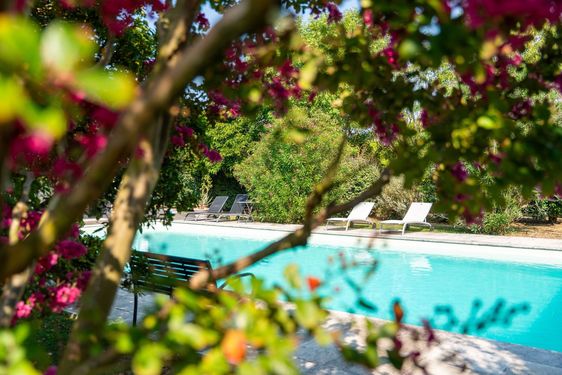 luxury house 11 Rooms for sale on ST MARTIN DE RE (17410)