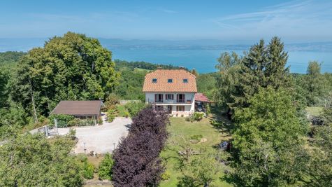 Sale Luxury house Saint-Paul-en-Chablais 13 Rooms 261 m²