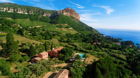 Rental Luxury farmhouse Cassis 7&nbsp;Rooms 350&nbsp;m²