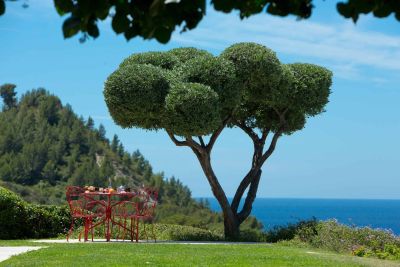 Vacances Ferme de luxe Cassis 7 Pièces 350 m²