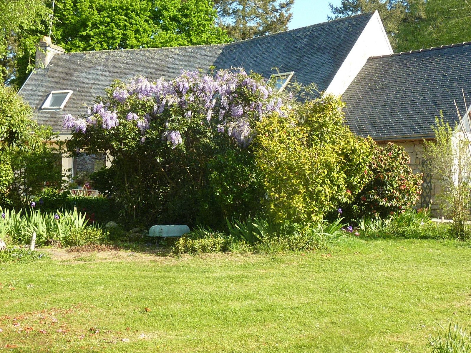 luxury house 8 Rooms for sale on GOUESNACH (29950)