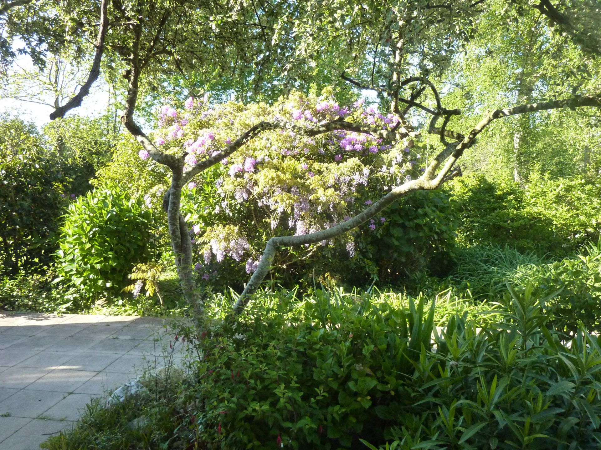 luxury house 8 Rooms for sale on GOUESNACH (29950)