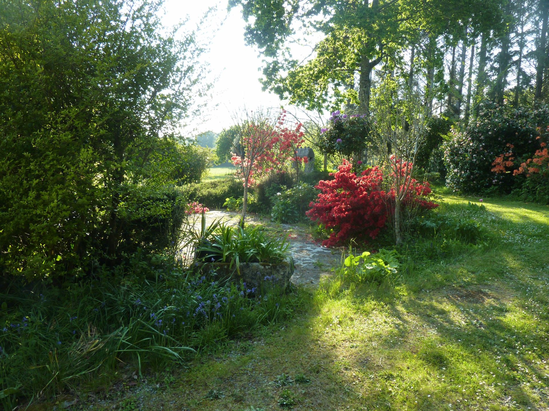 luxury house 8 Rooms for sale on GOUESNACH (29950)