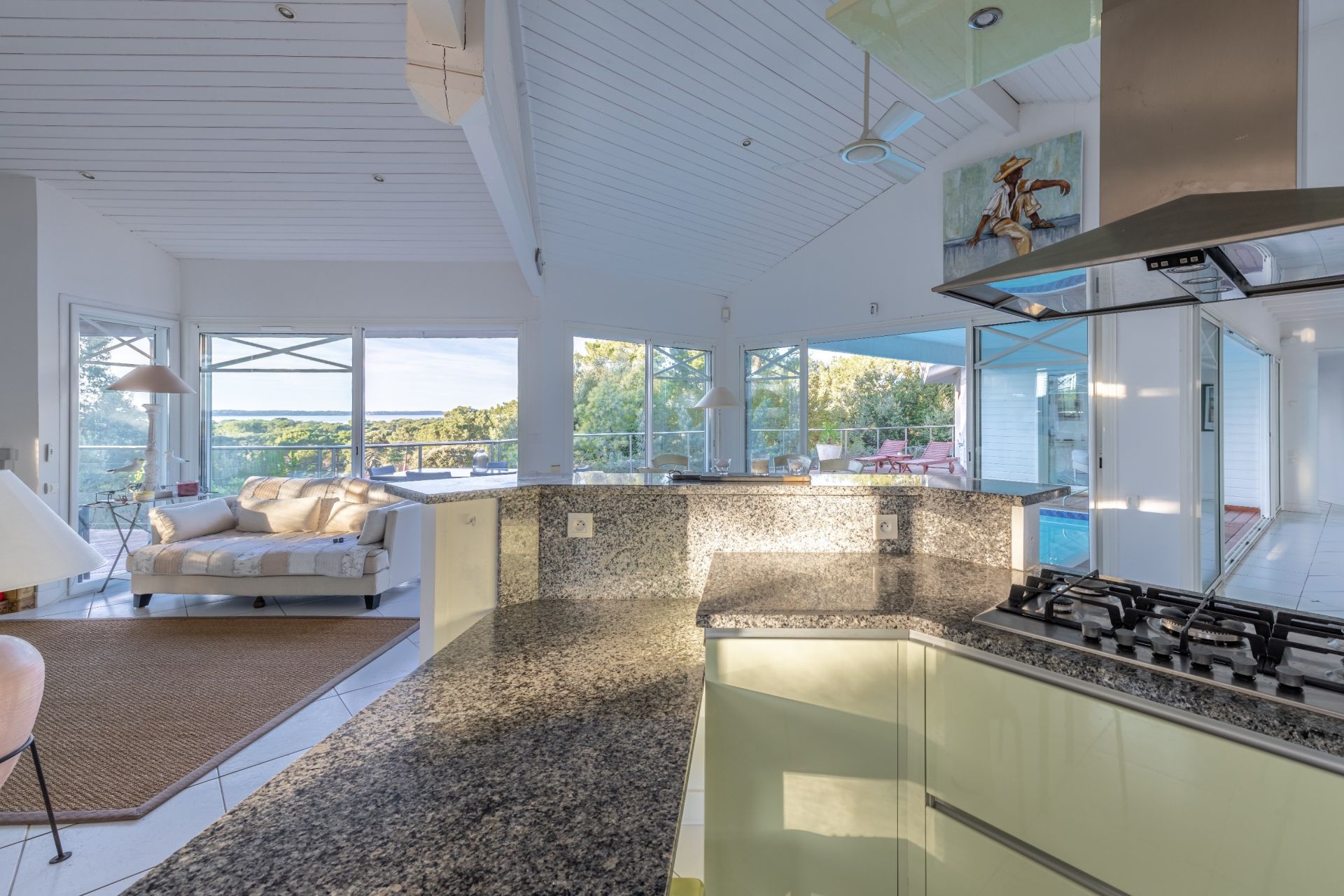 luxury house 9 Rooms for sale on PYLA SUR MER (33115)