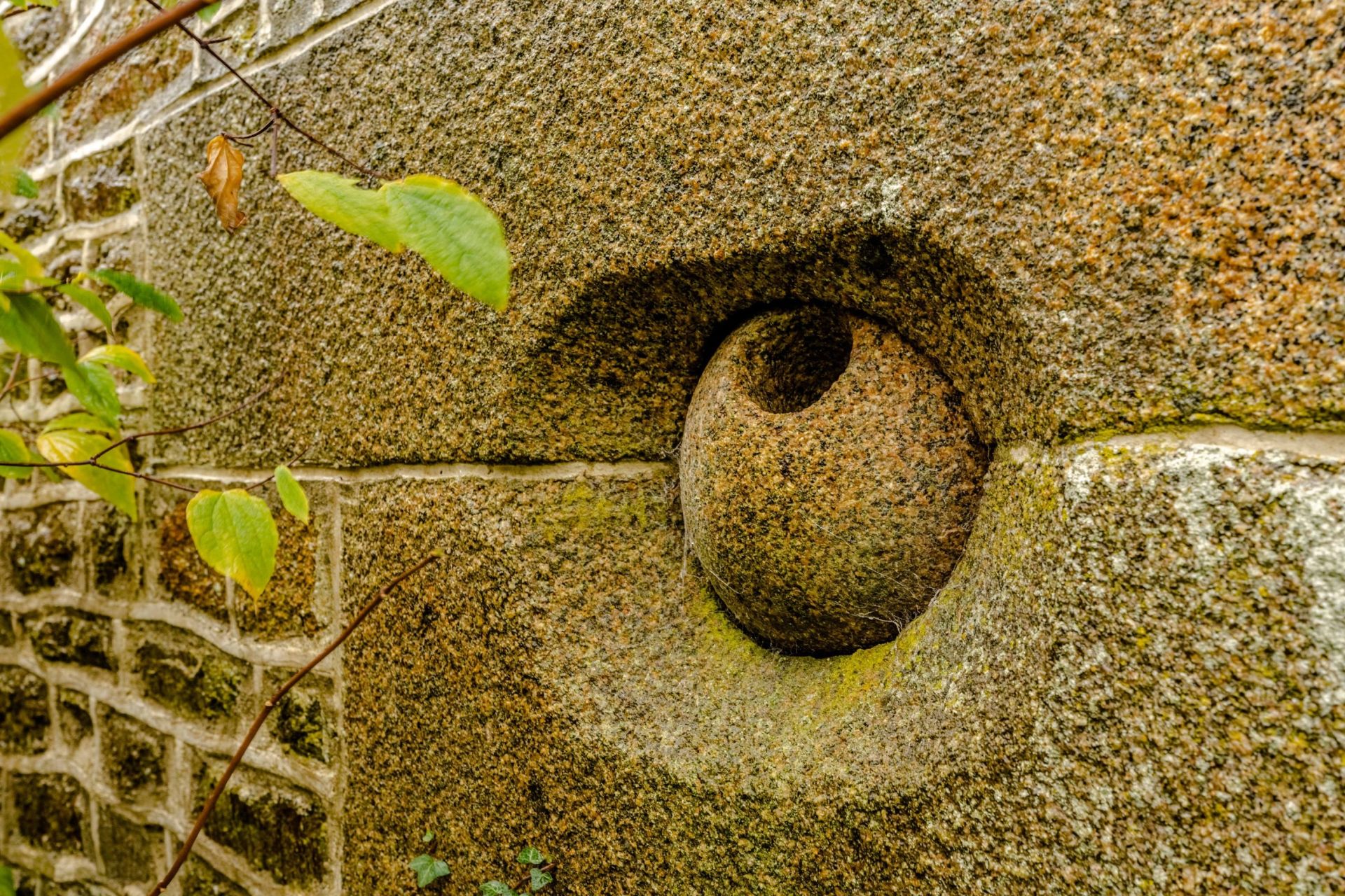 maison de luxe 17 Pièces en vente sur ISIGNY LE BUAT (50540)