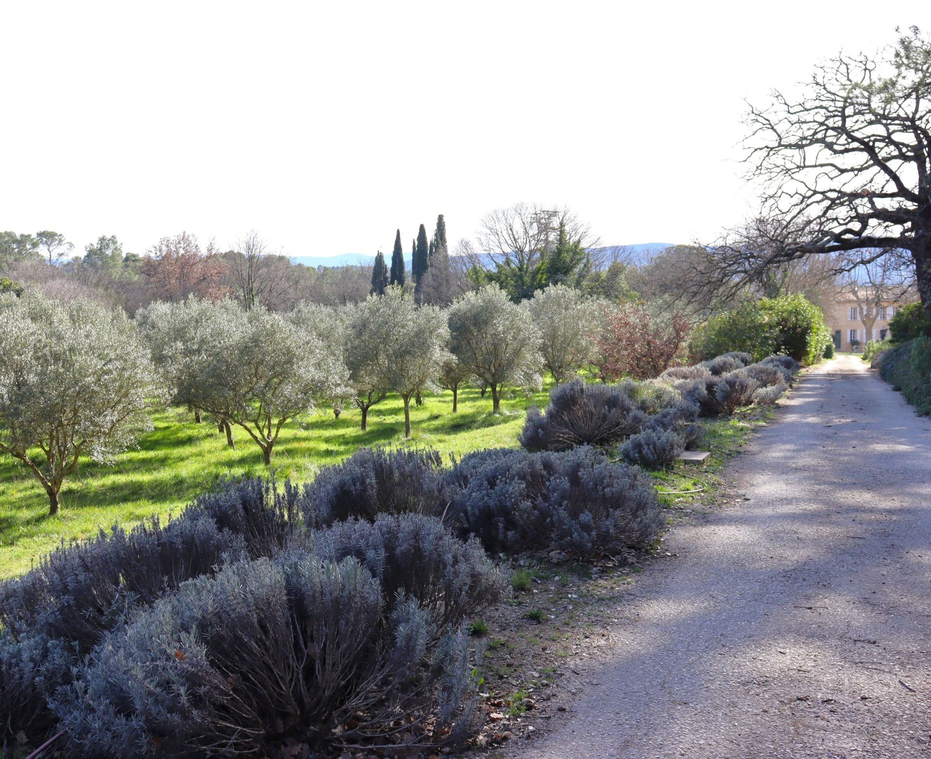 bastide 20 Pièces en vente sur LORGUES (83510)