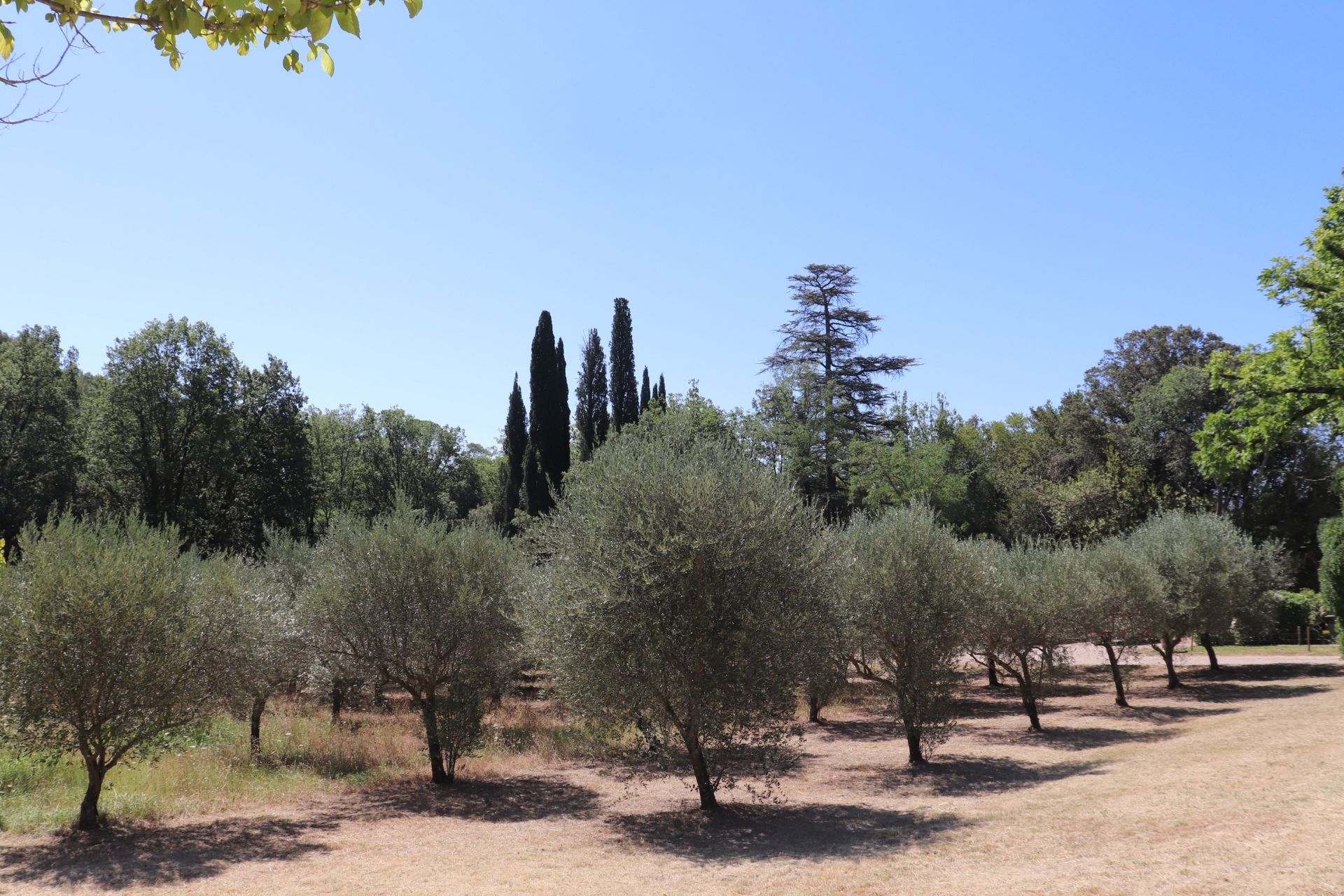 bastide 20 Pièces en vente sur LORGUES (83510)
