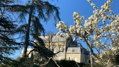 Sale Wine estate Bordeaux 15 Rooms 2500 m²