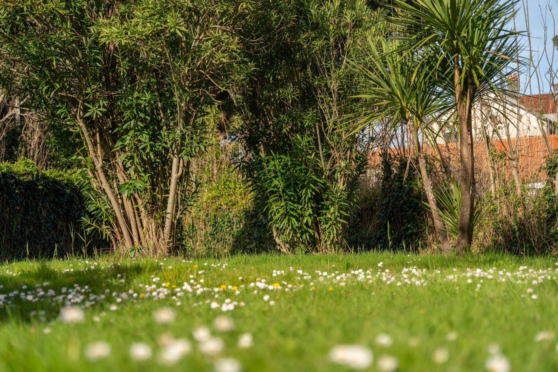 maison de luxe 5 Pièces en vente sur ST TROJAN LES BAINS (17370)