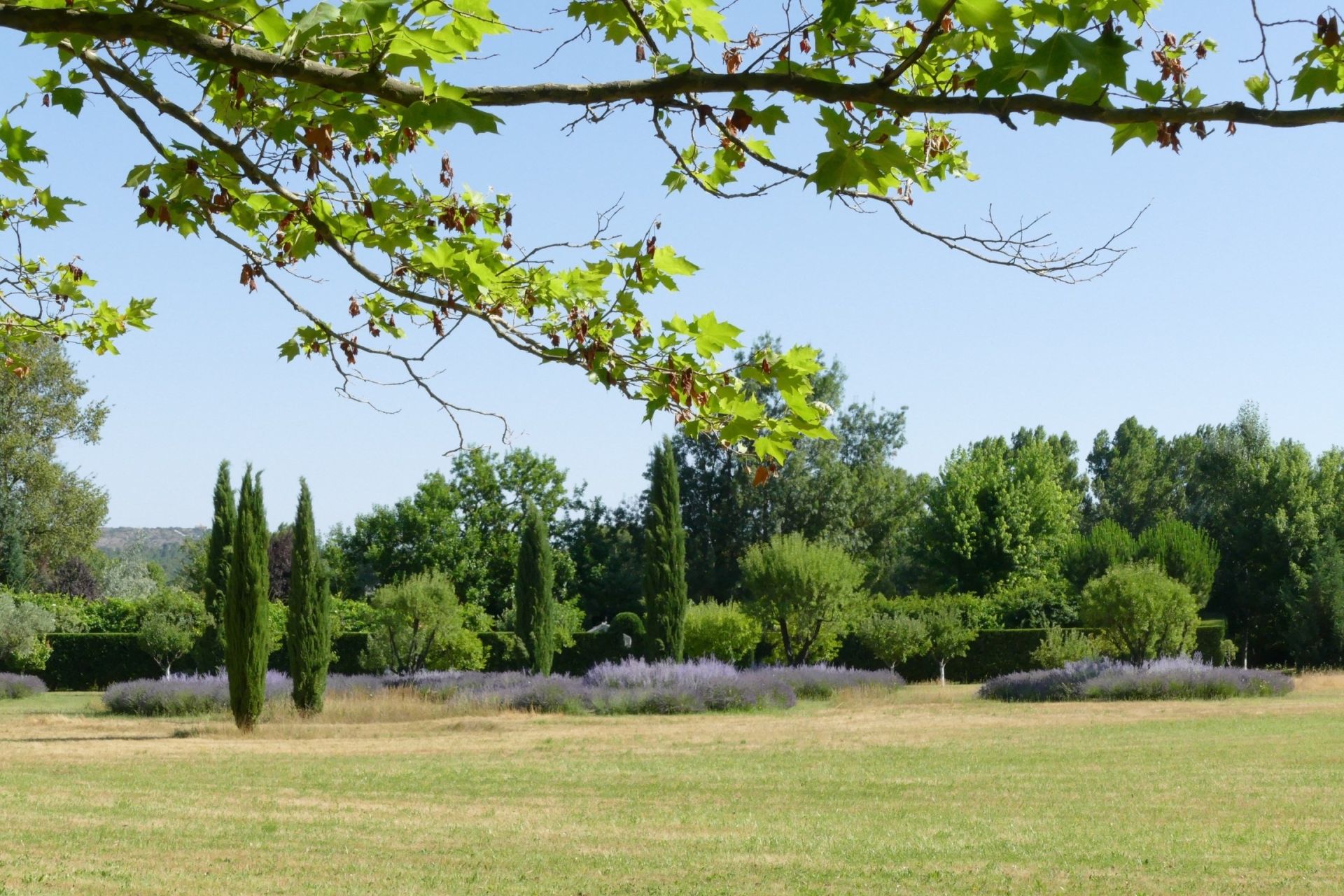 maison de luxe 20 Pièces en vente sur BRIGNOLES (83170)