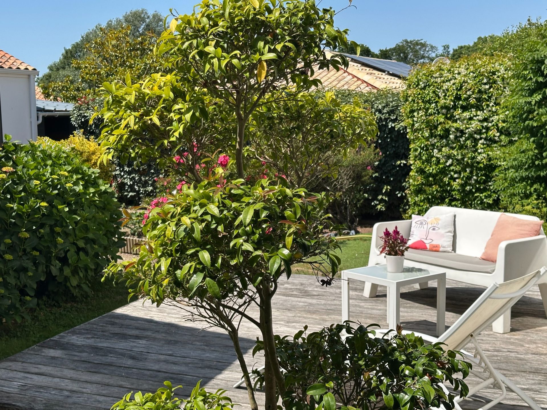 luxury house 7 Rooms for sale on PORNIC (44210)