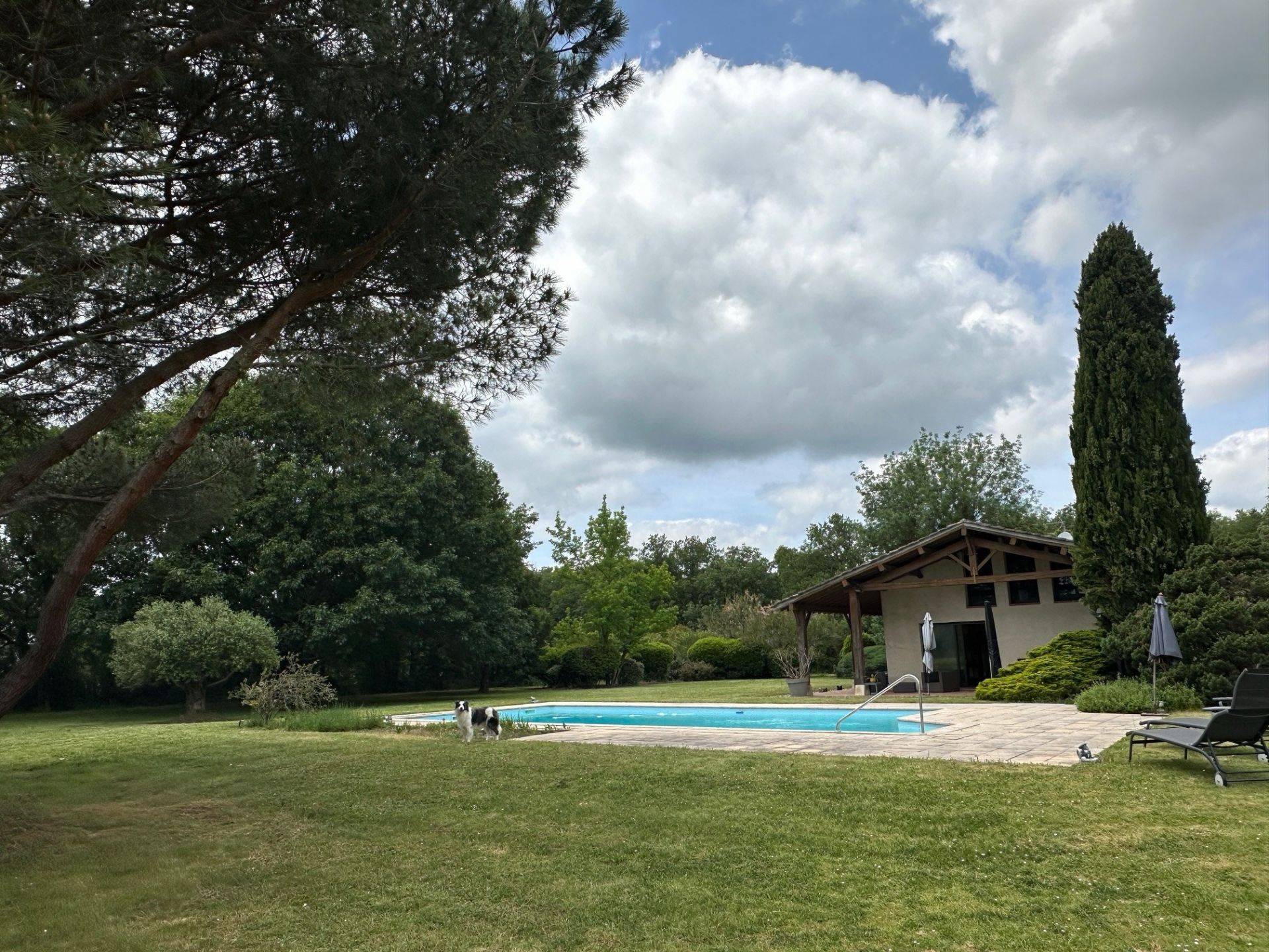 architect's house 10 Rooms for sale on MONDONVILLE (31700)