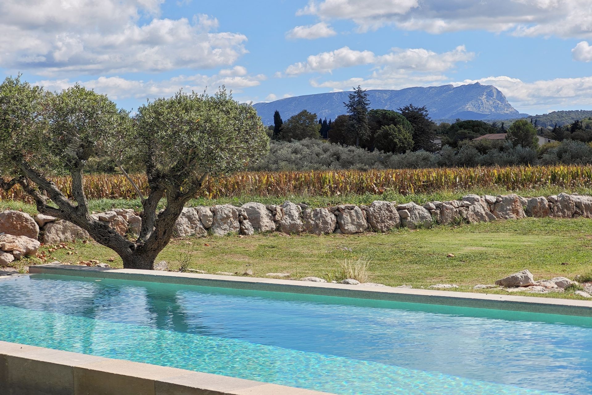luxury house 23 Rooms for sale on AIX EN PROVENCE (13100)