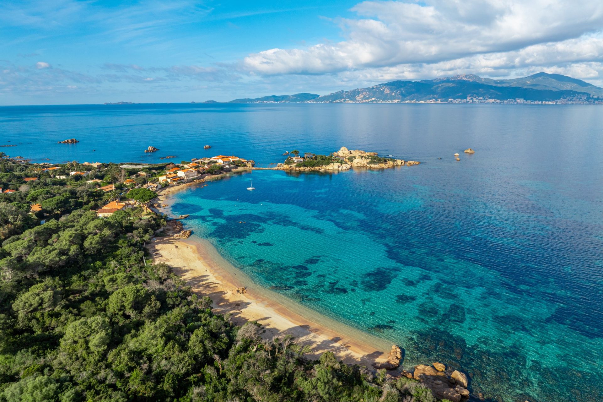 villa de luxe 6 Pièces en vente sur PIETROSELLA (20166)