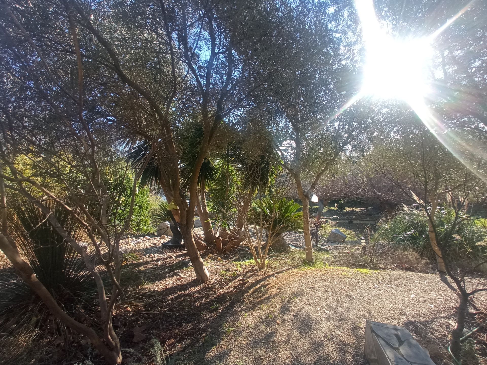 château 18 Pièces en vente sur ST MARCEL SUR AUDE (11120)