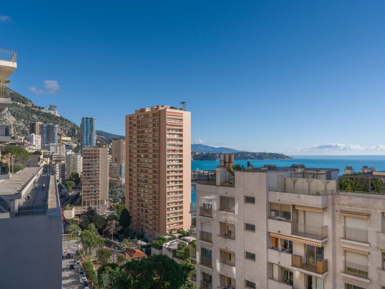 appartement de luxe 3 Pièces en vente sur MONACO (98000)