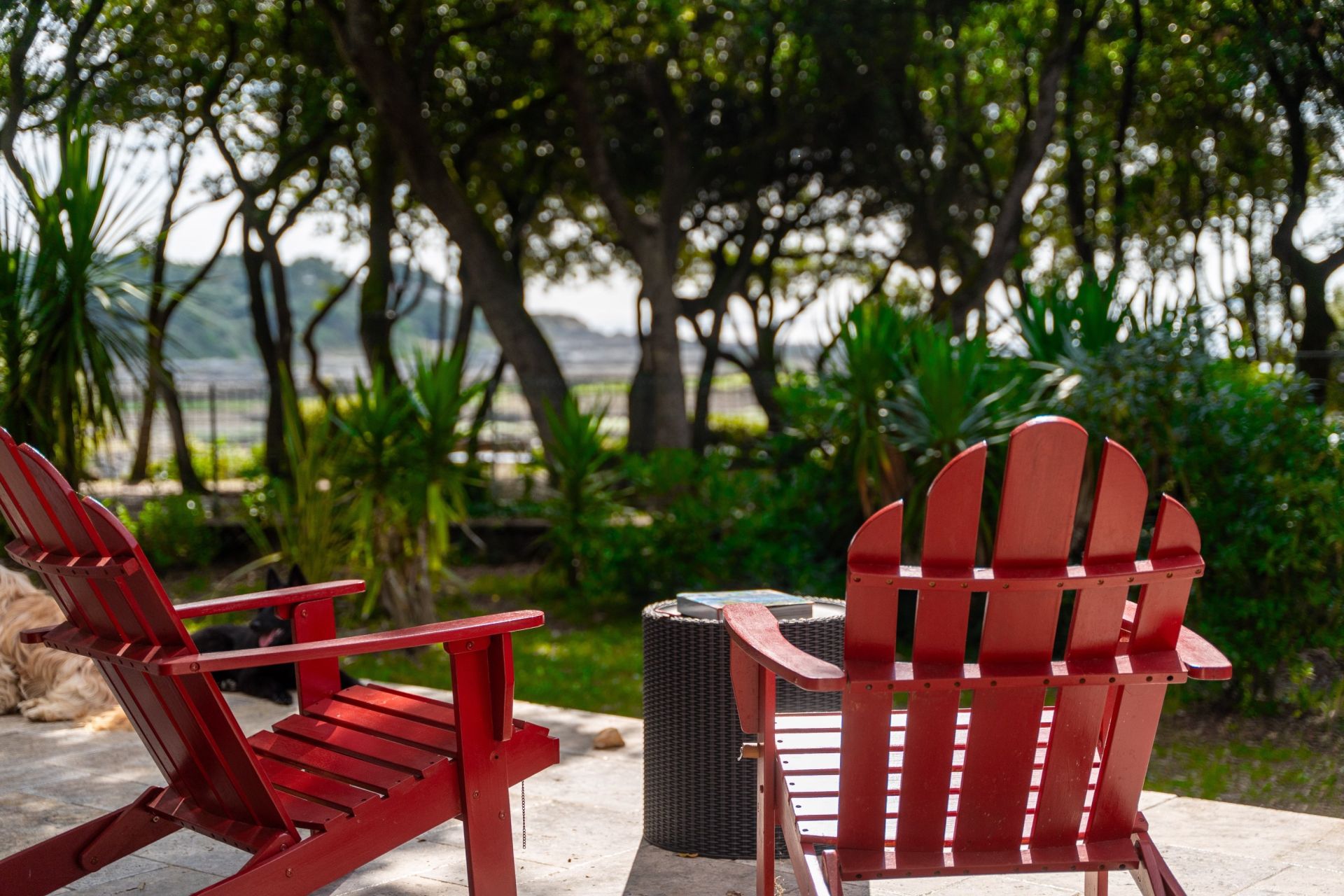 luxury house 5 Rooms for sale on VAUX SUR MER (17640)