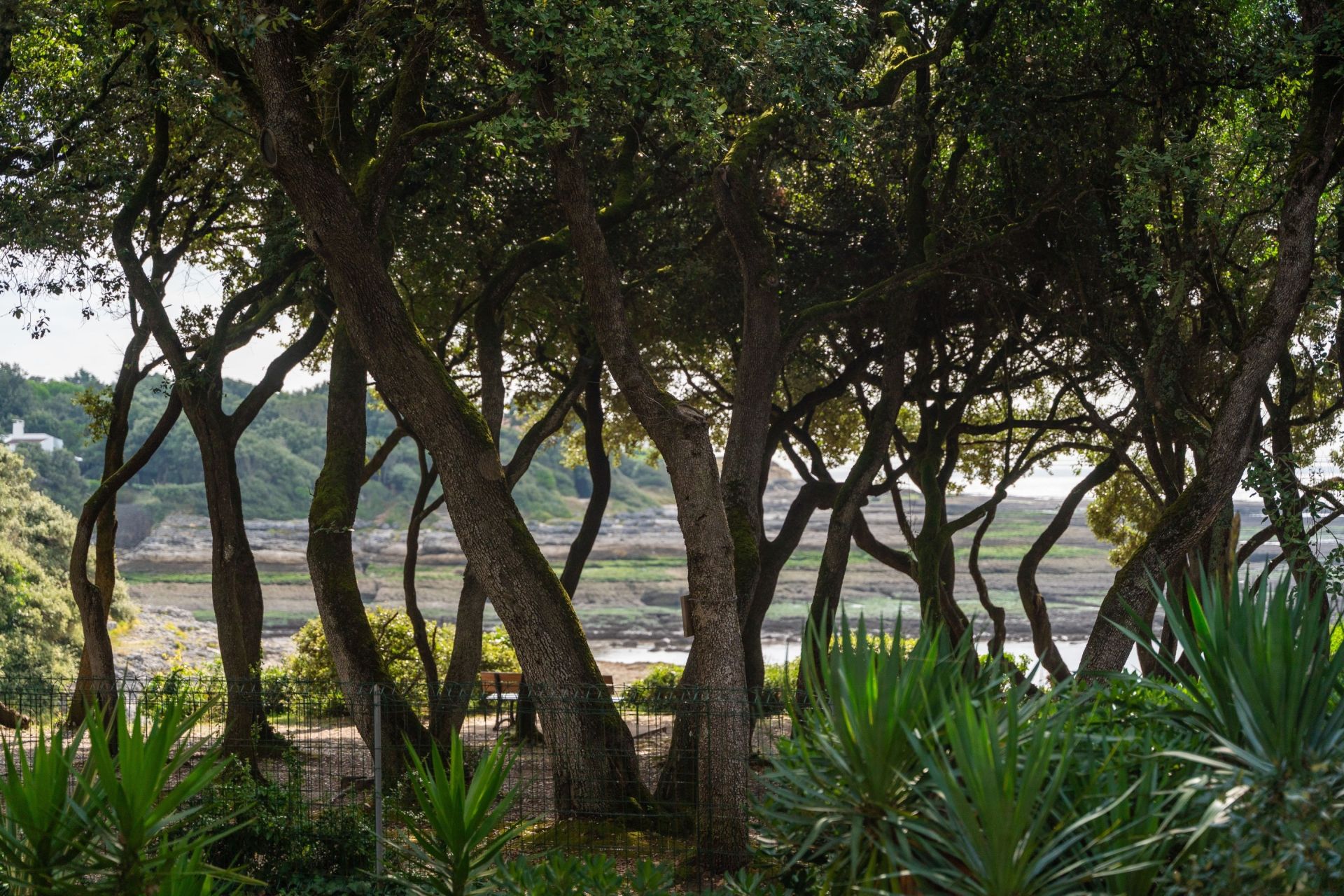 luxury house 5 Rooms for sale on VAUX SUR MER (17640)