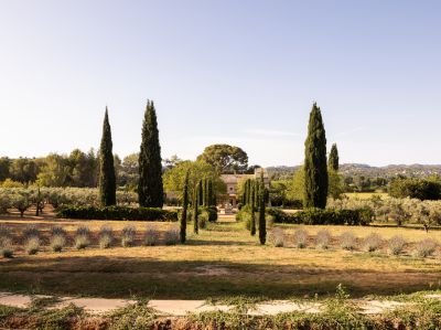 Vente Mas Paradou 8 Pièces 350 m²