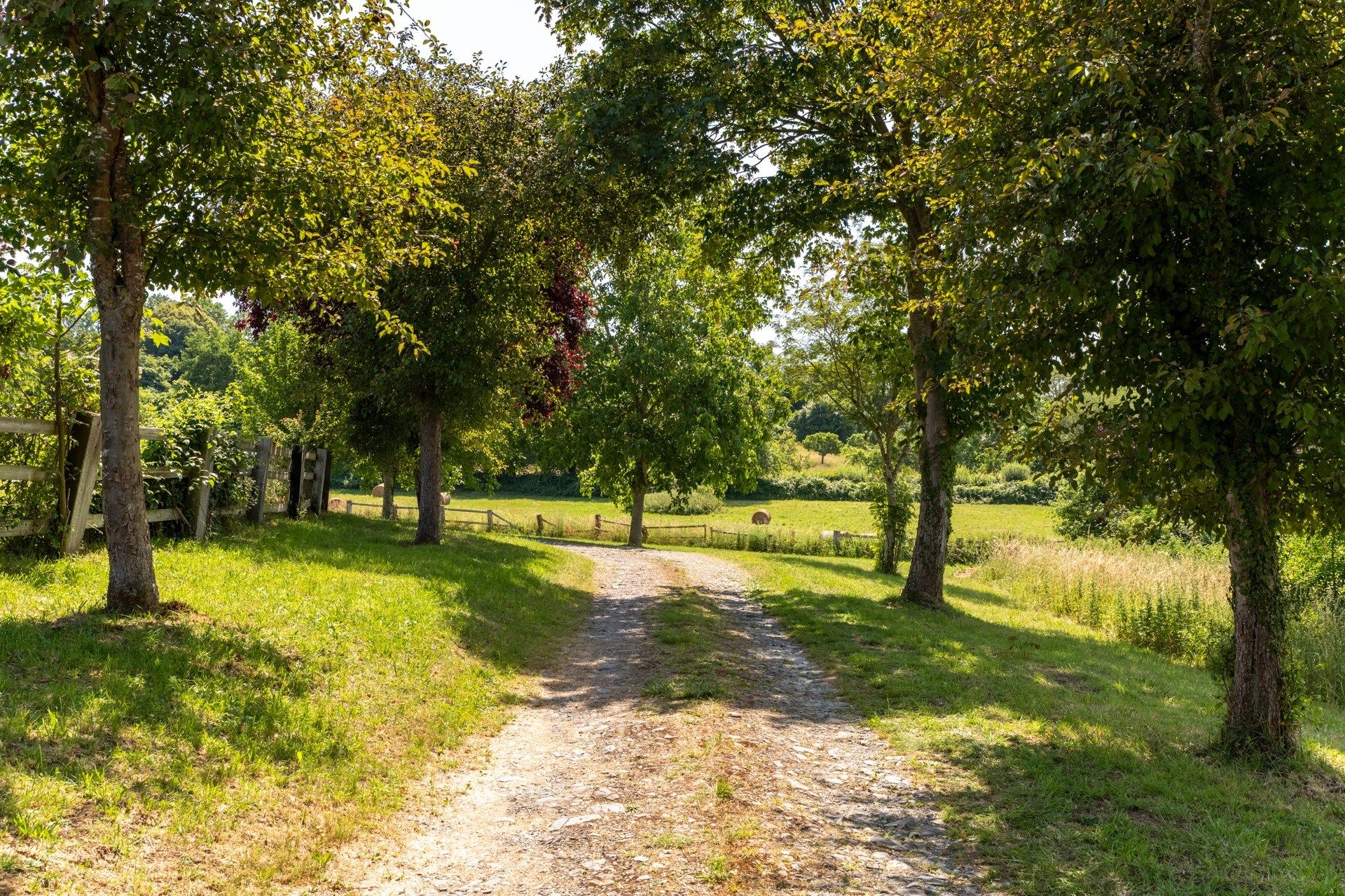 luxury house 8 Rooms for sale on BEAUMONT EN AUGE (14950)