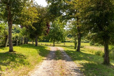 Sale Luxury house Beaumont-en-Auge 8 Rooms 290 m²