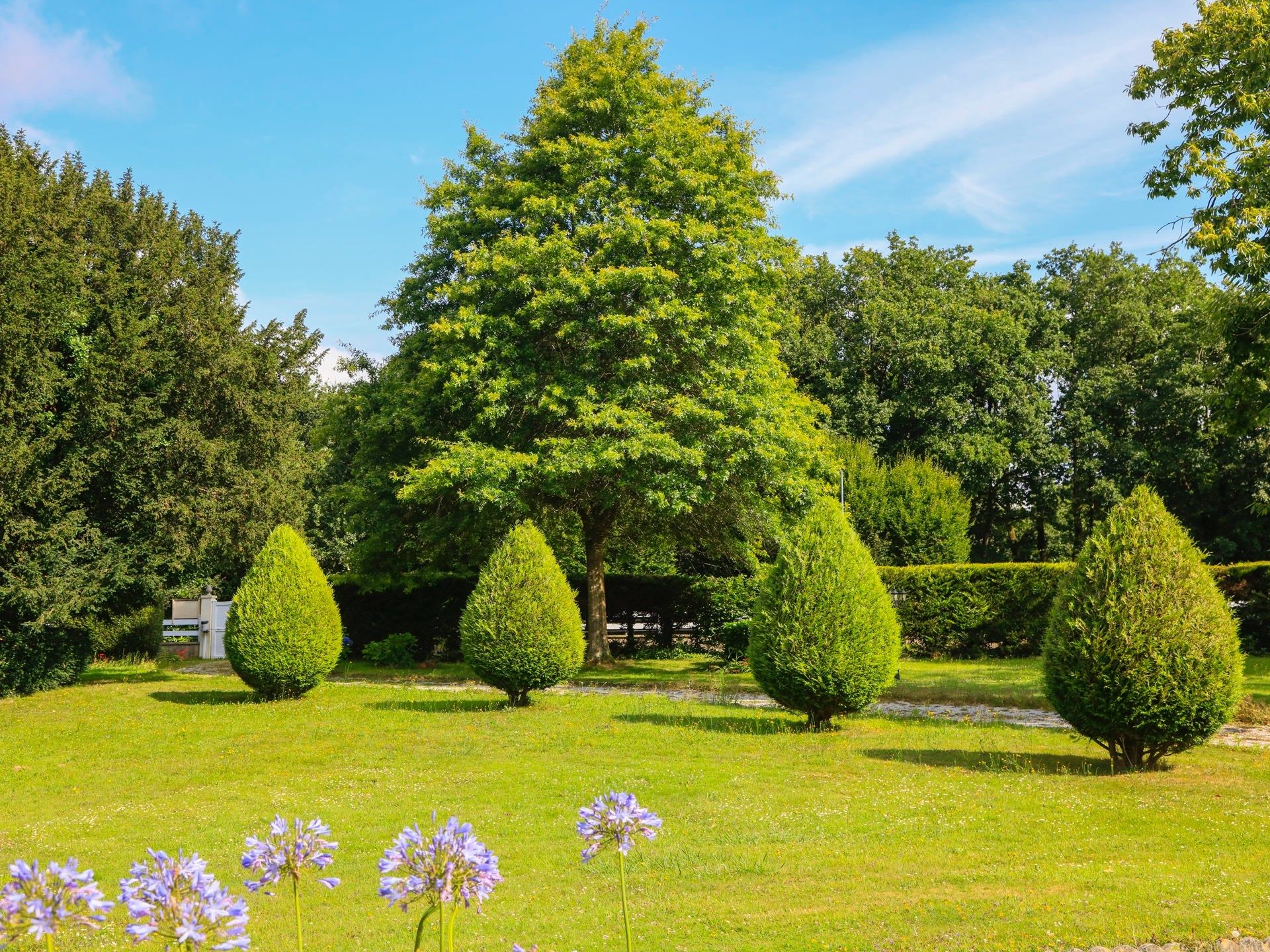 maison de luxe 10 Pièces en vente sur DIRINON (29460)