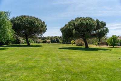 Vente Maison de luxe Dolus-d'Oléron 10 Pièces 360 m²